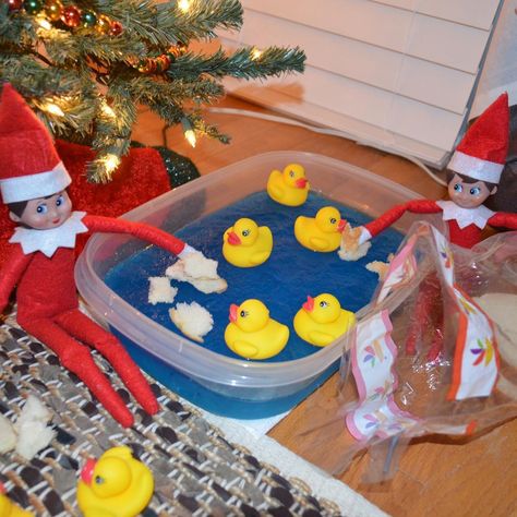 Elfontheshelf_James&Meebles on Instagram: “Circa 2016. James and Meebles feeding the ducks.” Elf On The Shelf Duck Ideas, Elf Feeding Ducks, Elf On The Shelf Feeding Ducks, Elf On The Shelf Ducks, Duck Feeding, Feeding Ducks, Duck Feed, Elf Ideas, On The Shelf