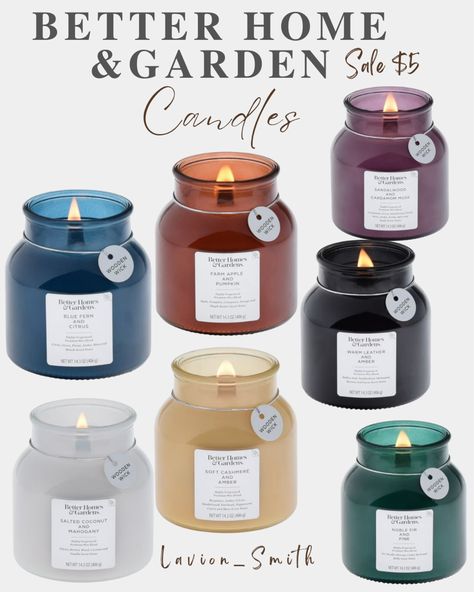 Better Homes & Gardens Salted … curated on LTK Sea Salt Candle Target, Walmart Candles, Pumpkin Garden, Blue Fern, Wooden Wick, Better Homes, Better Homes And Gardens, Home Goods, Home And Garden