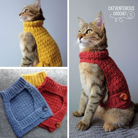 Available for free at Catventurous Crochet on YouTube. Catventurous Crochet: Simple and fun crochet patterns for #fashionablycatventurous kitties. @catventurous.crochet Supermeowdel: Melba @catventurepussmelba Cat Sweater Pattern, Fun Crochet Patterns, Cat Hat Pattern, Crochet Dog Clothes, Crochet Cat Hat, Crochet Dog Sweater, Crochet Cat Pattern, Cat Sweater, Knitted Cat