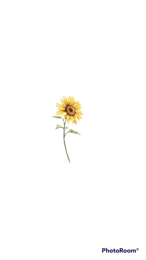 Micro Sunflower Tattoo, Sunflower American Traditional Tattoo, Minimal Sunflower Tattoo, Sunflower Tattoo Black And White, Girasoles Tattoo, Small Sunflower Tattoo, Yellow Tattoo, Dragon Tattoo Arm, Tattoo Sunflower