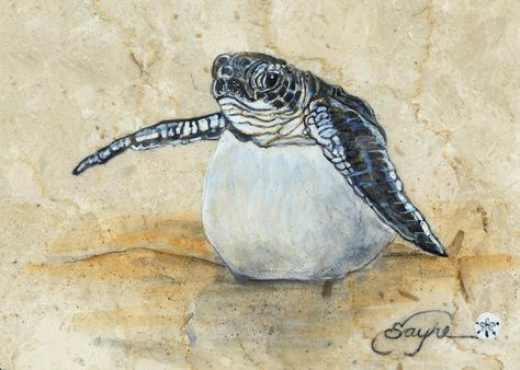 baby sea turtle hatching Sea Turtle Hatching, Turtles Hatching, Hatching Drawing, Small Turtle Tattoo, Sea Turtles Hatching, Sea Murals, Turtle Hatching, Sea Turtle Tattoo, Turtle Rock