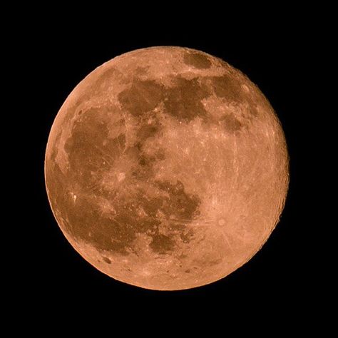 Moon Orange, Tim Buckley, Strawberry Moon, Orange Moon, Strawberry Moons, Moon Pictures, Super Moon, Nature Beauty, Celestial Bodies