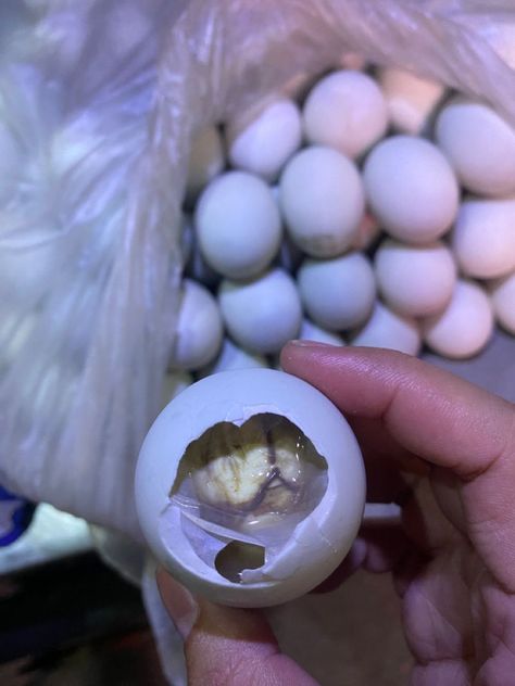 Balot is an Exotic Food in the Philippines Balut Egg Philippines, Street Foods Philippines, Balut Egg, Food In The Philippines, Cabbage Side Dish, Filipino Language, Filipino Snacks, Filipino Street Food, Philippines Food