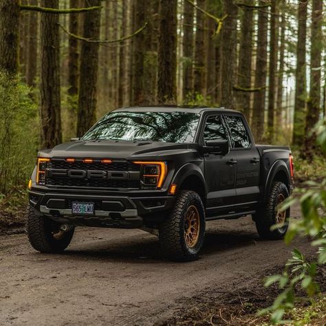 Matte Black Ford Raptor, Gen 3 Raptor, Ford Raptor Custom, Black Ford Raptor, Ford Raptor Truck, Ford Raptor F150, Aesthetic Car Accessories, Rolls Royce Wallpaper, Raptor Truck