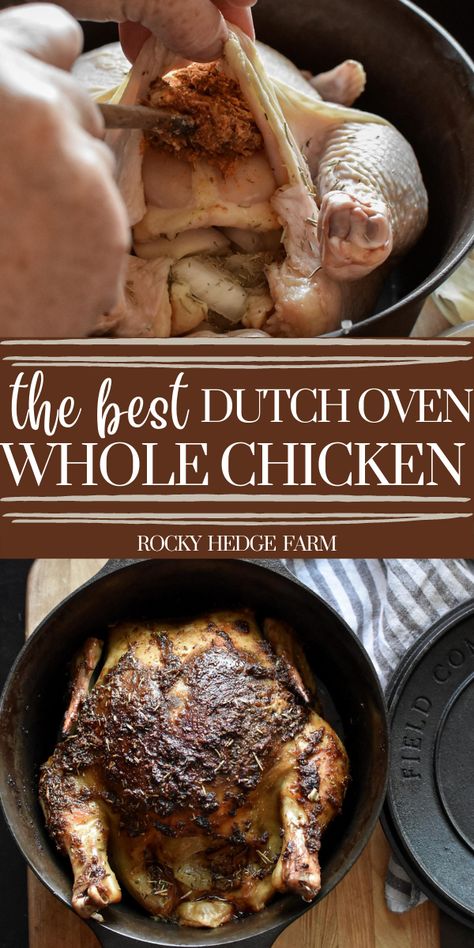 Cast Iron Dutch Oven Whole Chicken Recipes, Cast Iron Whole Chicken, Chicken In Cast Iron Dutch Oven, Cast Iron Whole Chicken Recipes, Roast Chicken In Cast Iron Dutch Oven, Whole Chicken In Cast Iron Dutch Oven, Baked Whole Chicken Recipes Dutch Oven, Recipes For Cast Iron Dutch Oven, Roasted Chicken Whole Cast Iron