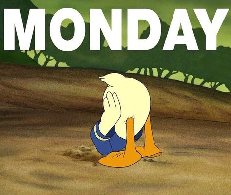 Chip and Co on Instagram: “That Monday morning feeling...😔 - - - #disney #disneymemes #disneyedits #disneycharacters #donaldduck #disneygram #funnydisney #funnymemes…” Ex Memes, Monday Sucks, Happy Monday Quotes, Monday Humor Quotes, Monday Images, Good Monday Morning, I Hate Mondays, Monday Blessings, Monday Memes