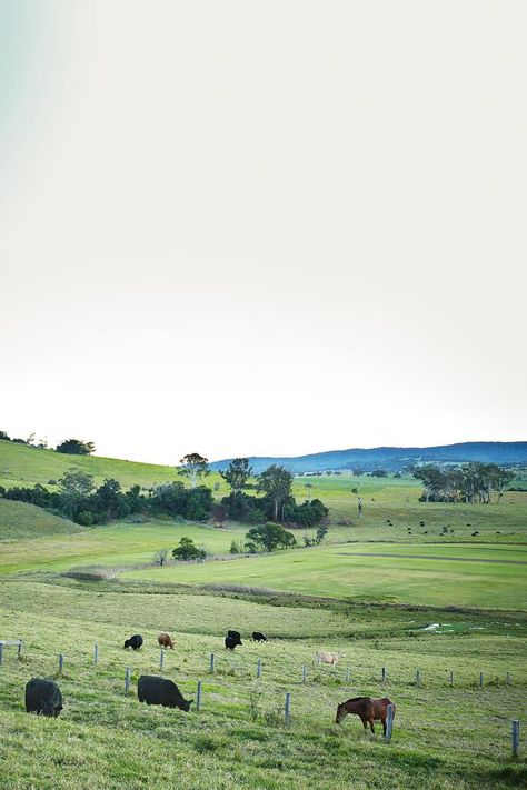 Farm Life Australia, Australian Aesthetic, Farm Aesthetic, Farm Town, Australian Farm, Farm Land, Homes To Love, Future Farms, Farm Lifestyle