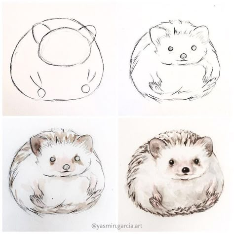 Trin For Trin Tegning, Maus Illustration, Hedgehog Drawing, 강아지 그림, Hedgehog Art, Watercolor Paintings Tutorials, Watercolor Art Lessons, Dessin Adorable, Drawing Lessons