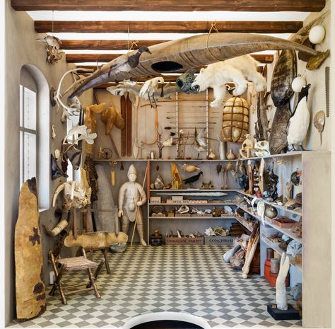 Museum Wormianum (photograph by Birgitte Rubëk) Cabinet Of Curiosity, Curiosity Cabinet, Collections Of Objects, Curiosity Shop, Natural History Museum, Cabinet Of Curiosities, History Museum, Painting Cabinets, Taxidermy