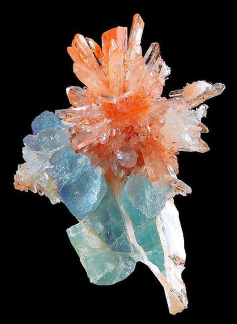 Orange Creedite with bluish-green Fluorite crystals Minerals Crystals Rocks, Fluorite Crystals, Geology Rocks, Rock Minerals, Pretty Rocks, Cool Rocks, Beautiful Rocks, Mineral Stone, Minerals And Gemstones