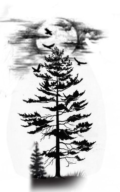 Forest Tattoo Stencil Outline, Tree Eye Tattoo, Tattoo Designs Men Stencil, Dark Forest Tattoo, Rasta Tattoo, Tree Silhouette Tattoo, Pine Tattoo, Ant Tattoo, Tree Tattoo Forearm