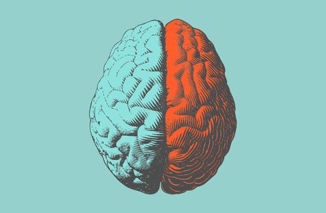 How does the brain work? A recent word memory study suggests search engine similarities. Brain Problems, Brain Illustration, Endocannabinoid System, Brain Exercise, Brain Damage, Improve Memory, Neurology, Mindfulness Practice, Aerobic Exercise