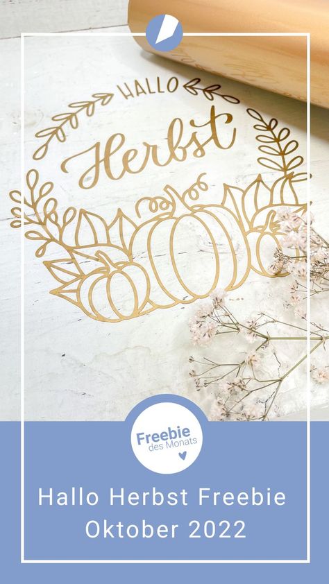 Hallo Herbst Plotterdatei - Oktober 2022 Freebie Download für deinen Plotter Silhouette Cameo Freebies, Silhouette Cameo, Place Card Holders, Cricut, Social Media, Media, Pattern