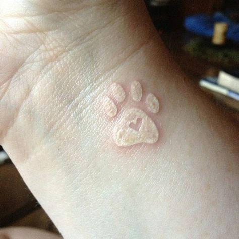 39 White Ink Tattoo on Wrist Realistic Heart Tattoo, Pet Memorial Tattoo, Bodysuit Tattoos, Tiny Paw Print, Tiny Tattoos For Women, Pawprint Tattoo, Dog Paw Tattoo, White Ink Tattoo, Paw Tattoo