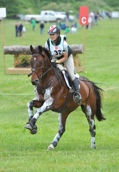 Horses Aesthetic, Eventing Cross Country, Cross Country Jumps, Horse Trials, Eventing Horses, Horse Dressage, Mia 3, Horse Equestrian, Horse Jumping