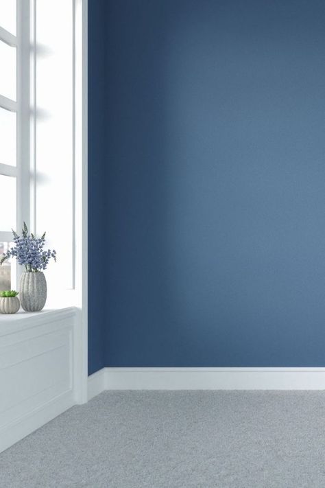 Blue Walls with Light Gray Carpet Carpet Color Ideas, Light Blue Hallway, Carpet For Room, Grey Carpet Living Room, Grey Carpet Bedroom, Light Gray Carpet, Blue Hallway, Blue Gray Bedroom, Gray Bedroom Walls