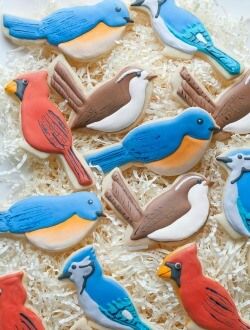 Backyard Birds cookies Tea And Biscuits, Bird Birthday Parties, Cut Out Cookie Recipe, Bird Cookies, Bird Cakes, Bird Birthday, Spring Cookies, Sugar Cookie Frosting, Fancy Cookies