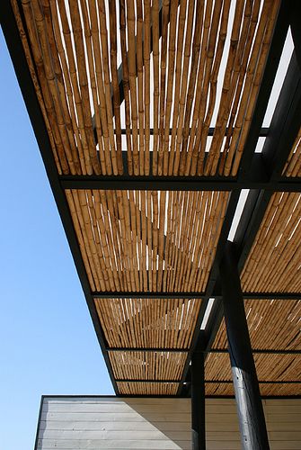 Possibly make a screen of bamboo stalks, wired together, to roll out on top of my arbor in the heat of the summer...? Pergola Bamboo, Pergola Modern, Bamboo Screen, Bamboo Roof, Sydney House, Bamboo Privacy, Bamboo Screening, Pergola Swing, Bamboo Stalks