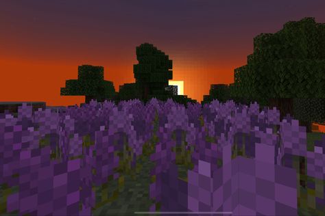 Minecraft Lavender Field, Minecraft Lavender, Lavender Field, Lavender Fields, Minecraft, Lavender, Canapés