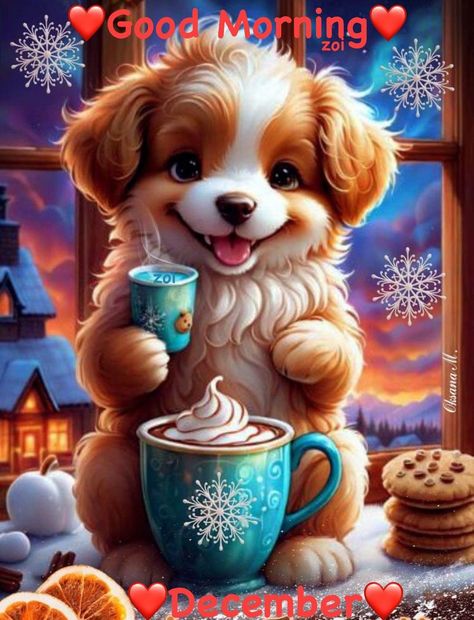 Good Morning Puppy, Good Morning Dog, Funny Good Morning Wishes, December Pictures, Good Morning Animals, Good Morning Hug, Teddy Pictures, Reflection Pictures, Christmas Tree Pictures