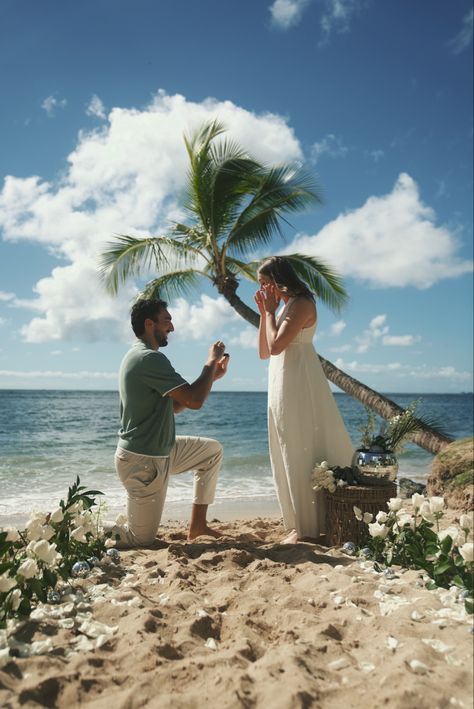 beach proposal, flowers on beach, beach engagement, beach proposal ideas, beach proposal set up, disco, hawaii, orchid, white roses Flowers On Beach, Beach Proposal Setup, Proposal Flowers, Beach Proposal Ideas, Beach Props, Proposal Ideas Beach, Christmas Sugar Cookies Decorated, Engagement Beach, Orchid White