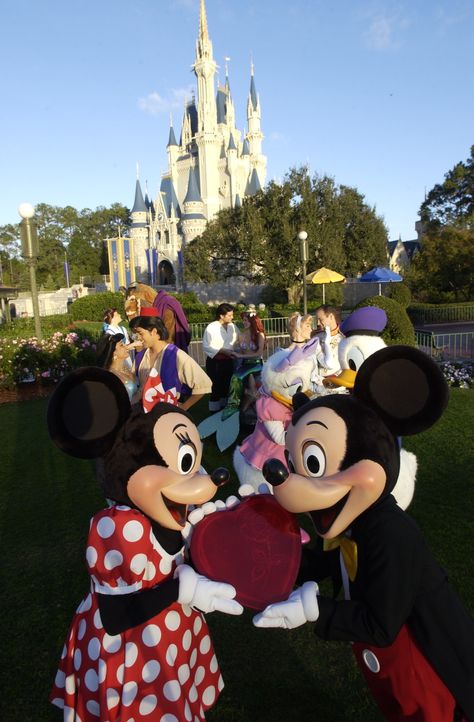 #Valentines Week at #Disneyland & #DisneyWorld #Travel #Entertainment Disney Characters Couples, Disney Parque, Disney World Pictures, Disney Valentines, Mickey And Minnie Mouse, Disney Couples, Disney Cruise Line, Mickey And Minnie, Disney World Resorts