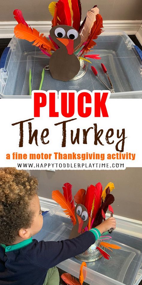 Pluck the turkey is a fun fine motor activity for Thanksgiving and an easy activity to set up for your toddler this holiday. Turkey Sensory Bin, Thanksgiving Sensory, Sensory Bin For Toddlers, Thanksgiving Lesson Plans, Thanksgiving Activities Preschool, Thanksgiving Toddler, Fun Thanksgiving Crafts, Thanksgiving Lessons, Thanksgiving Crafts Preschool