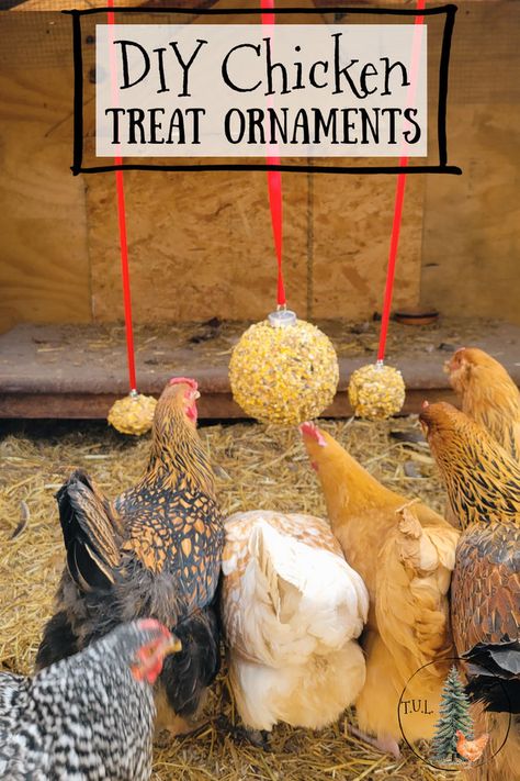 Chicken Hanging Treats, Chicken Christmas Tree Ideas, Chicken Nest Boxes Diy, Diy Chicken Treats Easy Recipes, Winter Chicken Treats, Snacks For Chickens To Eat, Chicken Craft Ideas, Chicken Accessories Diy, Chicken Treats Hens