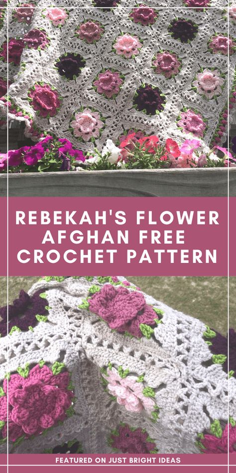 Crochet Rose Border Pattern, 3d Flower Crochet Blanket, Flower Afghan Crochet Patterns, Crochet Flower Blocks, Crochet Flower Blanket Patterns, Pretty Crochet Stitches, Pretty Borders, Flower Afghan, Rose Blanket