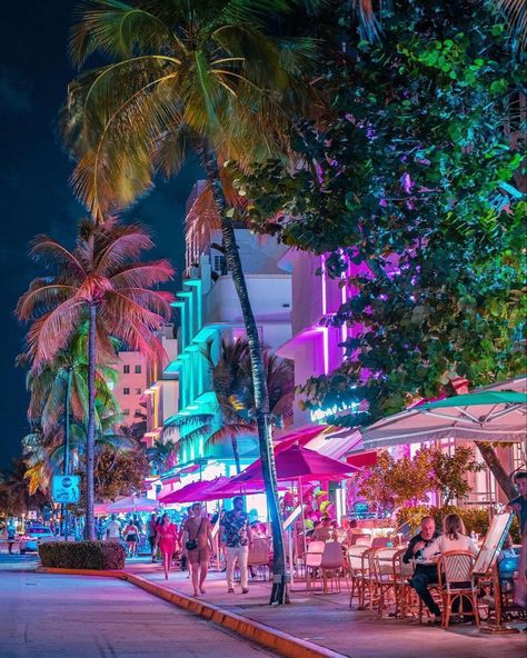 Purva Bhadrapada, Miami Holiday, Miami Pictures, Ocean Drive Miami, Miami Aesthetic, Miami Nights, Miami Vibes, Moving To Miami, Miami Skyline