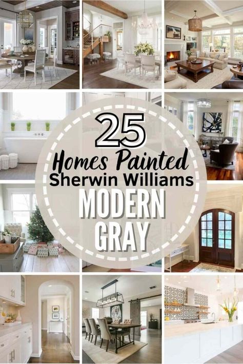 Sherwin Williams Modern Gray: SW 7632 ULTIMATE Review + Pics Sherwin Williams Modern Gray, Modern Gray Sherwin Williams, Grey Color Pallets, Modern Grey Bedroom, Grey Kitchen Walls, Modern Grey Kitchen, Modern Grey Living Room, Custom Closet Organization, Sherwin Williams Gray