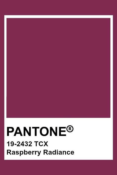 Raspberry Aesthetic Color, Raspberry Color Aesthetic, Pantone Burgundy, Pantone Raspberry, Raspberry Color Palette, Matthew Aesthetic, Raspberry Paint, Raspberry Aesthetic, Tcx Pantone