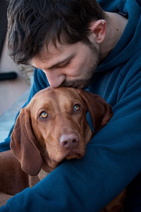 Dog Photoshoot Pet Photography, Dog Photography Poses, Vizsla Dogs, Photos With Dog, Dog Photoshoot, Me And My Dog, Man And Dog, Dog Photography, Baby Dogs