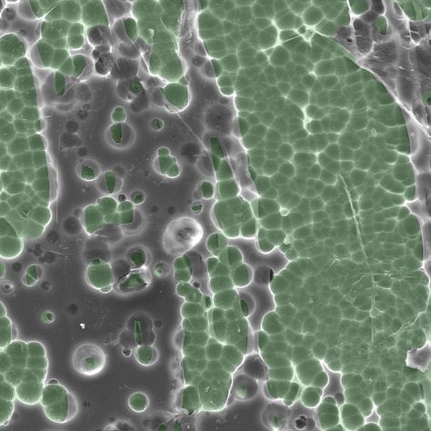 Electron microscope photo of enzyme/substrate interactions from the bacteria Ideonella sakaiensis. Photo: Dennis Schroeder / NREL Lab Experiment, Waste Recycling, Electron Microscope, Recycling Center, Plastic Animals, Plastic Waste, Scientists, Recycling, Lab