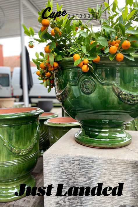 Just landed! Anduze French Pots have just arrived direct from the Poterie de la Madeleine in the South of France. Hand crafted using traditional techniques, these pots are a beautiful addition to any garden space. Hurry - selling fast! Anduze Pot, French Garden Design, Farm Plans, Garden Urns, French Classic, Bedroom Plants, French Garden, Buy Home, Balcony Garden