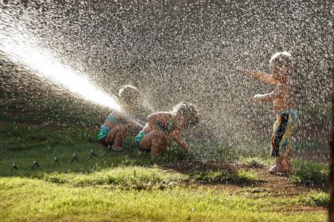 Children Playing In Water Sprinkler Lawn Sprinkler System, Water Sprinkler, Refreshing Water, Lawn Sprinklers, Sprinkler System, Water Activities, View Image, Family Farm, Outdoor Play