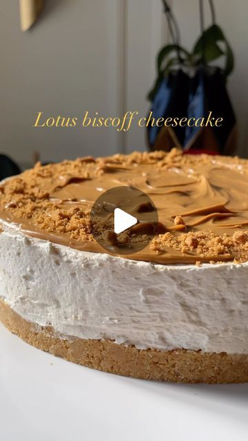 @martasfood_ on Instagram: "Lotus biscoff cheesecake 🌼
•
#cheesecake #lotus #lotusspread #lotuscheesecake #cake #biscoff #biscoffcheesecake #yum #yumyum #yummy #delicious #eat #homemade #food #foodie #food52 #recipe #reelsinstagram #reels #recipe #yumyumyum #desserts #cheesecakes #desserts #foodstagram #instayum #instafood" Cheesecake Lotus, Cake Biscoff, Lotus Biscoff Cheesecake, Lotus Cheesecake, Lotus Cake, Biscoff Cheesecake, Lotus Biscoff, Homemade Food, Food 52