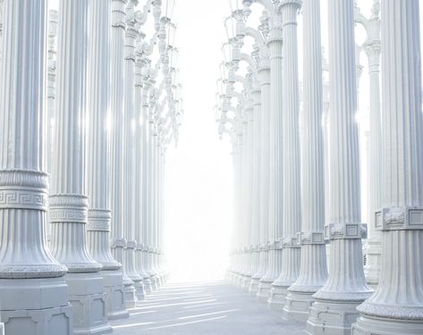 White Columns, white pillars #Aero #White #Open #White #Light #Perspective #Building #Columns #Construction #Hall #Classic #High #Architecture #Bright #Structure #Historic #Interior #corridor #ancient #Elegant #Greek #Antique #Hallway #Nobody #geometric #2K #wallpaper #hdwallpaper #desktop Roman Columns, Graphic Design Ads, Church Graphic Design, New Background Images, White Background Photo, New Background, Wallpaper Dekstop, Poster Background Design, Poster Background