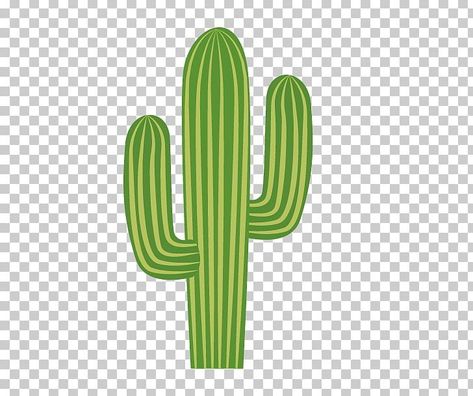 Cartoon Cactus, Cartoon Cactus Drawing, Cactus Pictures Art Prints, Cute Cactus Illustration, Cactus Animation, Cactus Illustration Cute, Clip Art Cactus, Cactus Png, Cactus Cartoon