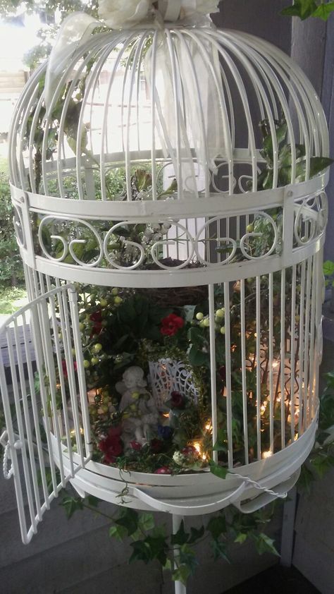 My fairy garden birdcage i made. Succulent Terrarium Ideas, Birdcage Planter, Fairies Garden, Terrarium Ideas, Fairy Garden Designs, Bird Cage Decor, Hanging Succulents, Mini Fairy Garden, Backyard Sheds