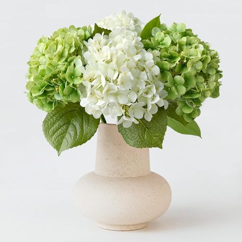 PRICES MAY VARY. 【SIZE & QTY】: Total length: 20" (51cm), hydrangea head diameter : 7.8" (20cm), flower head length : 4.3" (11cm). Each big flower head consists of 14 groups of small hydrangeas by head, In the packing box: there are 4 flower heads, 4 thick stems, 8 green leaves (VASE NOT INCLUDED) 【LATEX MATERIAL】: Faux hydrangea petal part made of high quality latex + rubber tube plastic + wire, softer and more realistic to the touch and can be washed, coalesce with water droplets after spraying Faux Floral Centerpieces, Artificial Silk Flower Arrangements, Big Bouquet, Indoor Party, Fake Hydrangeas, Short Vase, Leaf Vase, Faux Hydrangea, Artificial Hydrangeas