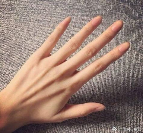 Hand Veins, Tik Tok Videos Funny, Long Natural Nails, Tik Tok Videos, Hand Drawing Reference, Hand Reference, Hand Pictures, Pretty Hands, Hand Model