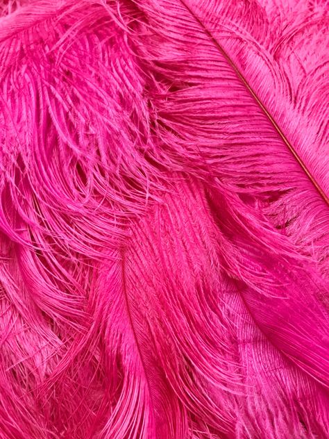 "These wholesale ostrich drabs range in size from 11-13 inches long. You will get 100 pieces of beautiful bleached and dyed in hot pink ostrich feathers. These are bulk packed by weight so quantity and length will vary by plus or minus 10%. You will need approximately 20 to 30 feathers for table centerpiece and 11-13\" are suitable for vase between 18\" and 24\" vase. This is a good size for starters who is on budget. These feathers are called ostrich drabs and are from the body feathers of an o Bulk Craft Supplies, Types Of Feathers, Carnival Decorations, Wispy Hair, Feather Centerpieces, Carnival Wedding, Mardi Gras Costumes, Large Feathers, Mardi Gras Carnival