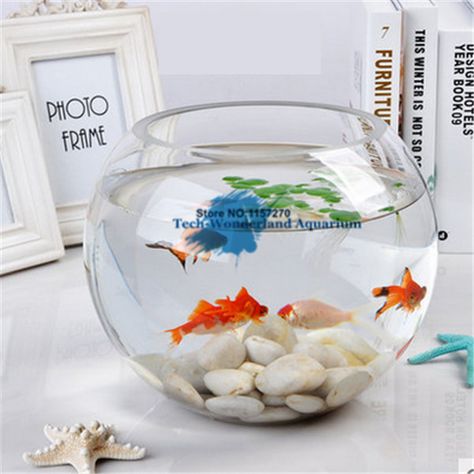 15*12.5CM Glass Aquarium Fishbowl For Fish Flower Plants Aquarium Home Decoration Ball Fish Tank Round Fishbowl Decoration Ideas, Round Fish Tank, Fish Bowl Decorations, Aquarium Home, 10 Gallon Fish Tank, Aquarium Craft, Fish Tank Themes, Plants Aquarium, Goldfish Bowl