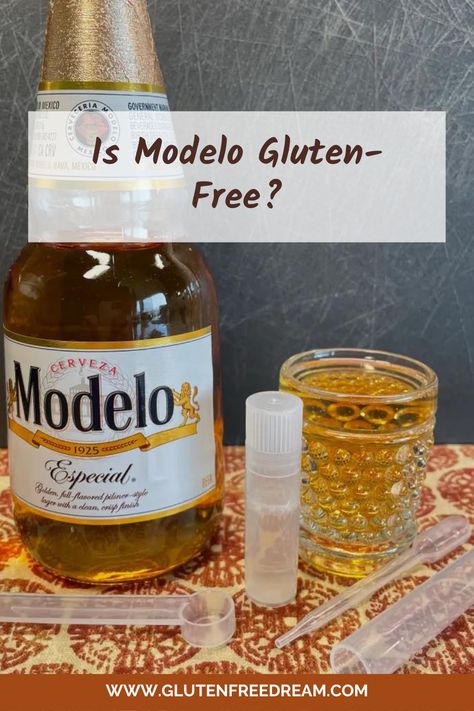 What Kind Of Drink Is Modelo Gluten Free? Peach Gluten Free, Crown Royal Peach, Modelo Beer, Gluten Free Beer, Malted Barley, Be Aware, Crown Royal, Beer Lovers, Barley