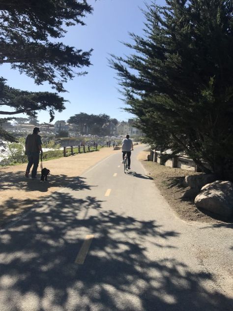 California People, Monterey Bay California, Wine Tasting Room, Monterey Bay Aquarium, Travel Things, Monterey California, Beautiful Town, Pacific Grove, Monterey Bay