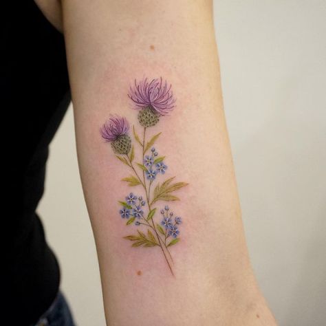 Thistle And Heather Tattoo, Thistle Flower Tattoo, Laurel Tattoo, Seed Tattoo, Scotland Tattoo, Scottish Thistle Tattoo, Scottish Tattoo, Scottish Tattoos, Toronto Tattoo