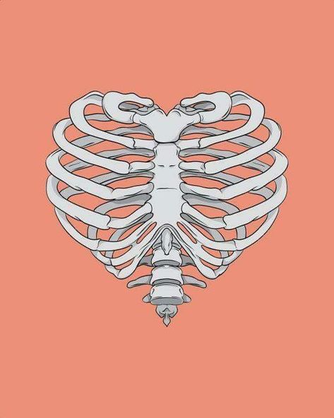 Rib Cage Art, Rib Cage Drawing, Heart Ribcage, Cage Art, Skeleton Drawings, Arte Grunge, Heart Tattoos, Handpoke Tattoo, Goth Wallpaper