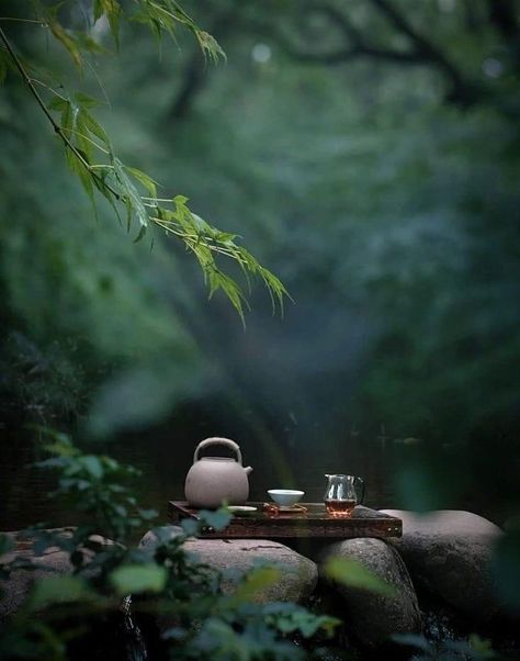 Japanese Tea Aesthetic, Zen Garden Aesthetic, Green Tea Aesthetic, Zen Aesthetic, Tea Wallpaper, Zen Tea, Japanese Tea Garden, Best Green Tea, Chinese Aesthetic