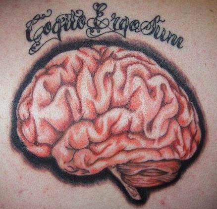 cool looking realistic brain. i like the thick outline here. Brain Tattoos, Brain Drawing, Realistic Drawing, Brain, Tattoos